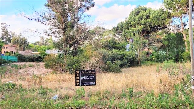 EXCELENTE LOTE NIVELADO