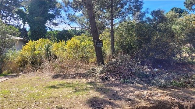 HERMOSO LOTE EN EL PINAR