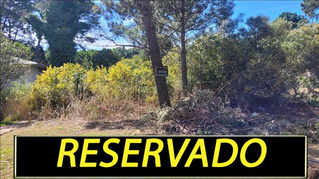 HERMOSO LOTE EN EL PINAR