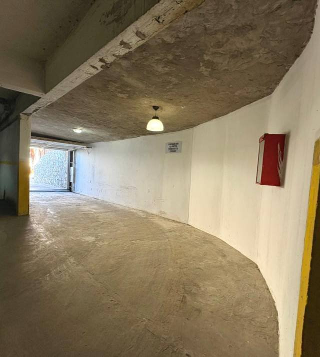 5229-75.jpeg